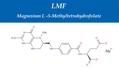 LMF – MAGNESIUM L-5-METHYLTETRAHYDROFOLATE