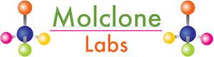 Molclone Labs | L Methylfolate Manufacturers